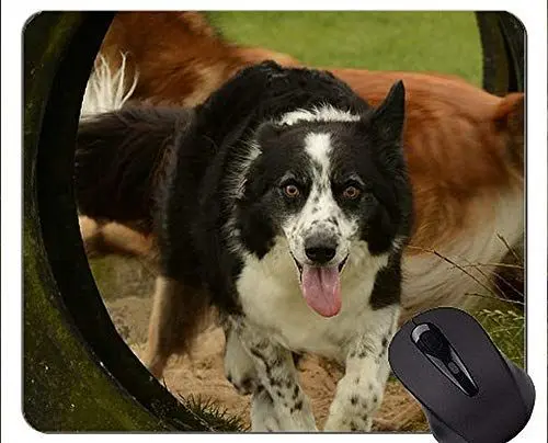 Produktbild: Hundeschäferhund-Schäferhund-Natur-Tier-Mausunterlage, rutschfeste Gummibasis Mousepad des Collie