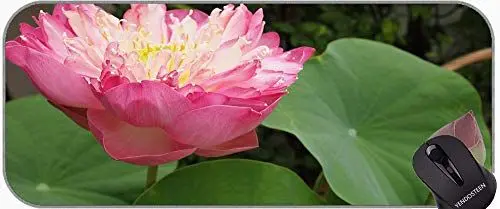 Produktbild: YENDOSTEEN Lotus-Boardkarten Jede benutzerdefinierte Mausmatte, Blumenschreibtischmatte mit genähter Kante