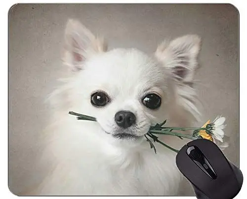 Produktbild: YENDOSTEEN Mauspads, Gaming-Mauspad, Hundeblume - genähte Kanten
