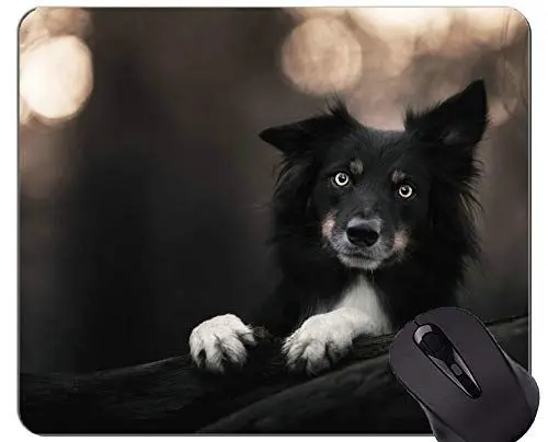 Produktbild: Mauspads, Gaming-Mauspad, Randcollie für Hunde - Genähte Kanten