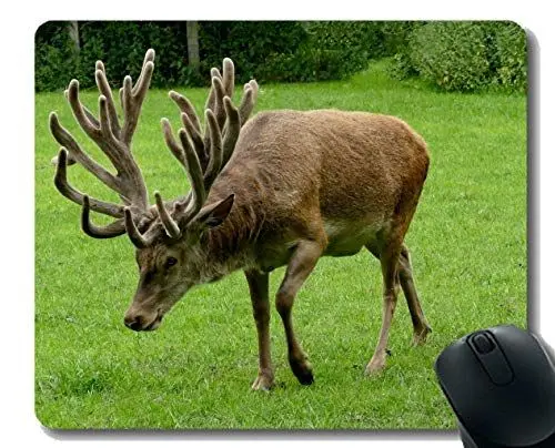 Produktbild: Mausunterlage, Geweih-Tierpark - genähte Ränder