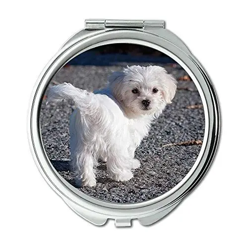 Produktbild: Spiegel, Compact Spiegel, Hund Maltese White Young Dog Welpen Small Sweet, Taschenspiegel, tragbarer Spiegel