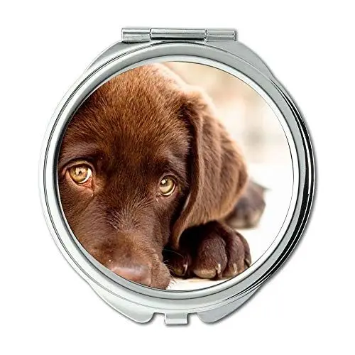 Produktbild: YENDOSTEEN Spiegel, Reise-Spiegel, Alaska Malamute Hund Hund, Taschenspiegel, 1 X 2 X Lupe
