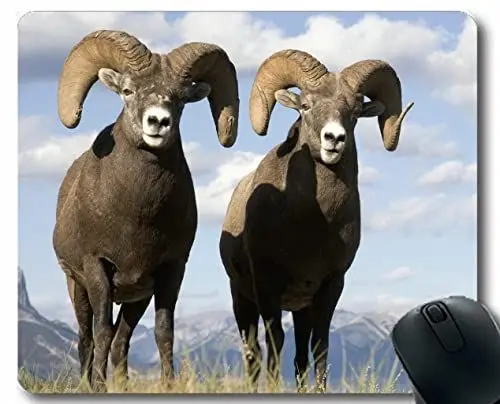 Produktbild: YENDOSTEEN einzigartiger maßgeschneiderter Mauspad Mousepad, Schafberge Grass Gaming Maus Matte 300x250x3 mm