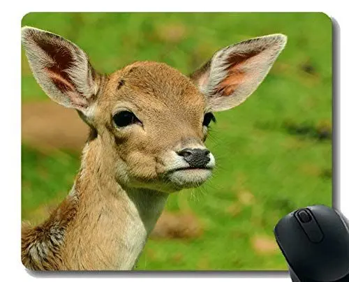 Produktbild: rutschfeste Mausunterlage für Desktops, Wilde Stelle der Jungen Rotwild - genähte Ränder