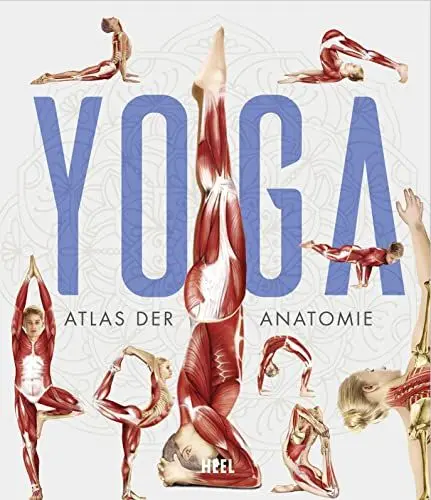 Produktbild: YOGA - Atlas der Anatomie: Yoga Anatomie und Asanas (wissenschaftliche anatomische Illustrationen)