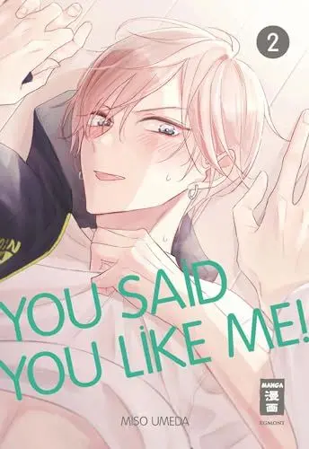 Produktbild: You Said You Like Me! 02