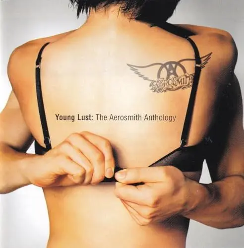 Produktbild: Young Lust: the Aerosmith Anthology