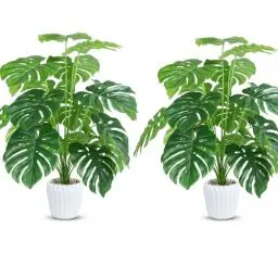 Produktbild: Yuanlne 2er Set Kunstpflanzen Monstera mit Topf, 70cm künstliche Pflanzen, Fake Pflanzen Für Badezimmer Büro Küche Zimmer Dekoration