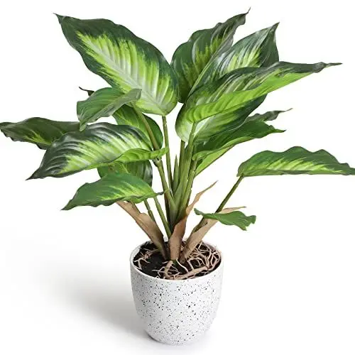 Produktbild: YunYite Künstliche Pflanzen,36cm Dieffenbachia Picta Mini Indoor-Topf Pflanzen Kunstplastik-Grünflanze, für Dekoratives Wohnzimmer Wohnung Balkon Büro