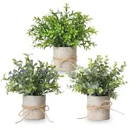 Produktbild: YVONNEYI 3 Stück Künstliche Pflanzen, Mini Kunstpflanze Eukalyptus, Künstliche Pflanzen Plastik für Schlafzimmer Badezimmer Küchen Zuhause Innen Deko