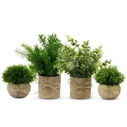 Produktbild: YVONNEYI 4 Stück Künstliche Pflanzen für Deko Wohnzimmer, Kunstpflanze Klein Eukalyptus, Fake Plant für Schlafzimmer Badezimmer Küchen Büro Zimmer Zuhause Innen Deko (005, 4 Stück)