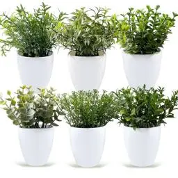 Produktbild: YVONNEYI 6 Stück Mini Künstliche Pflanzen, Kunstpflanze Eukalyptus Deko, Mini Kunstblumen, Kunstpflanzen für Schlafzimmer Badezimmer Küchen Zuhause Innen Deko