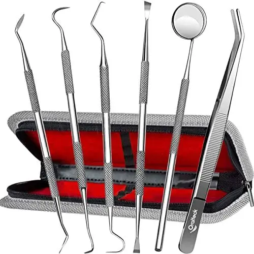 Produktbild: Zahnpflege-Instrumenten-Set, Plaque-Reiniger, Zahnstein-Entferner, 6 Edelstahl-Mundpflege-Instrumente, mit Etui, Premium-Zahnreinigung für Erwachsene, Kinder und Haustiere Grau