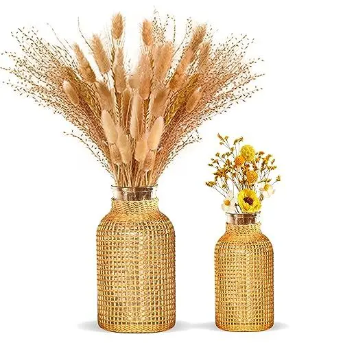 Produktbild: ZENS Rustikale Landhausstil Vasen 2er Set, Handmade Gewebter Vase Glas für Tischdeko, Boho Blumenvase Für Pampasgras, Bücherregal, Wohnzimmer und als Geschenk