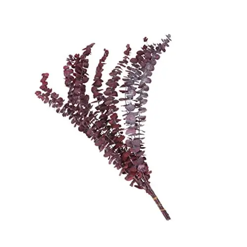 Produktbild: Zerodeko Grüne Pflanzen 10St künstliches Grün Echte Eukalyptusblätter - Rote Eukalyptusblätter - Trockenblumenstrauß künstliche Pflanzen Anlage getrockneter Eukalyptus natürlich Blatt