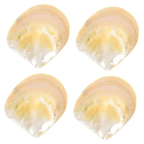 Produktbild: Zerodeko 4stücke Food Tray Servierplatte Muschelform Für Snacks Süßigkeiten Und Deko Kreative Präsentation Für Partys Und Buffets Langlebig Und Leicht Zu Reinigen