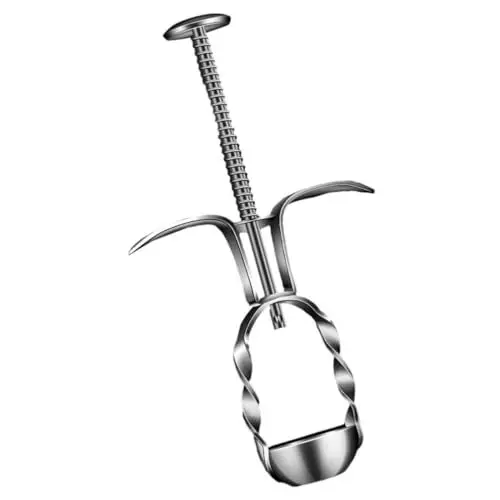 Produktbild: Zerodeko Automatischer Frühlings-kirschkern-entferner-werkzeug Aus Edelstahl Obstentkerner Ergonomisches Design Kompakt für