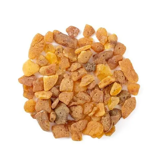 Produktbild: Bernstein-Rohsteine mit gebohrtem Loch (20 Grams) – 100% natürliche baltische Chips für Schmuck und Perlen