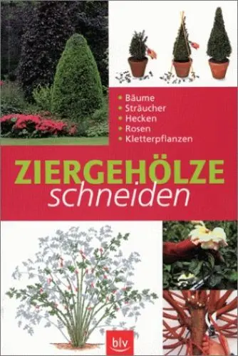Produktbild: Ziergehölze schneiden