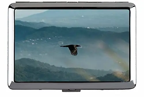 Produktbild: Zigarettenbox, Raven Bird Flug Hard Box und Halter (King Size) C183