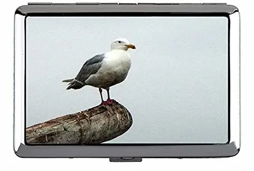 Produktbild: Zigarettenetui/Box - King-Size-Zigaretten, Möwe Bird Beam Halten Sie Visitenkarten in makelloser Bedingung C075