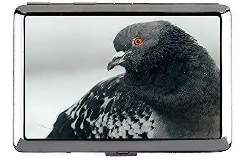 Produktbild: Zigarettenetui/Box - King-Size-Zigaretten, Pigeon-Vogel-neugieriger Visitenkartenhalter C245