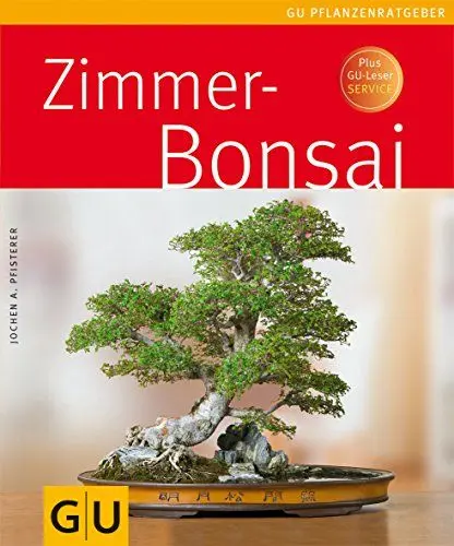 Produktbild: Zimmerbonsai