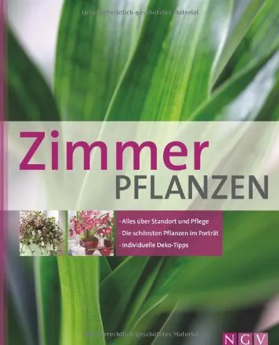 Produktbild: Zimmerpflanzen: Alles über Standort und Pflege - Die schönsten Pflanzen im Porträt - Individuelle Deko-Tipps