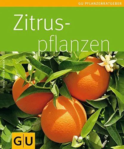 Produktbild: Zitruspflanzen