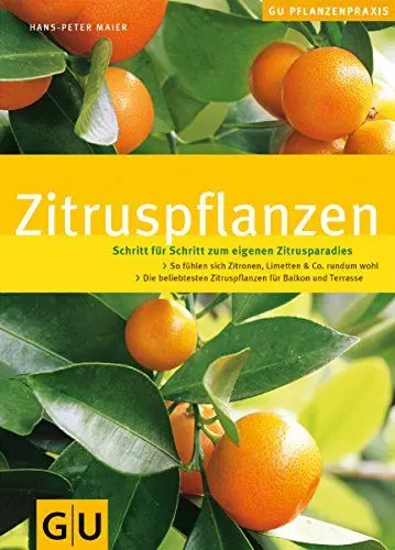 Produktbild: Zitruspflanzen: Schritt für Schritt zum eigenen Zitrusparadies. So fühlen sich Zitronen, Limetten & Co. rundum wohl. Die beliebtesten Zitruspflanzen für Balkon und Terrasse (GU Praxisratgeber Garten)