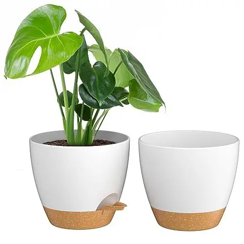 Produktbild: ZMTECH 20 cm Pflanztöpfe Mit Bewässerungslippe - Selbstbewässernd Mit Abflusslöchern und Herausnehmbarem Untersetzer - Kunststoff für Innen- und Außenbereich (Weiß, 2er-Set)