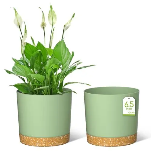 Produktbild: ZMTECH Blumentopf 16,5 cm Durchmesser übertöpfe für zimmerpflanzen, Kunststoff blumentöpfe mit Untersetzer und Abflusslöchern, Rund pflanztöpfe für Innen Außen Pflanzen(2er-Set, Grün)