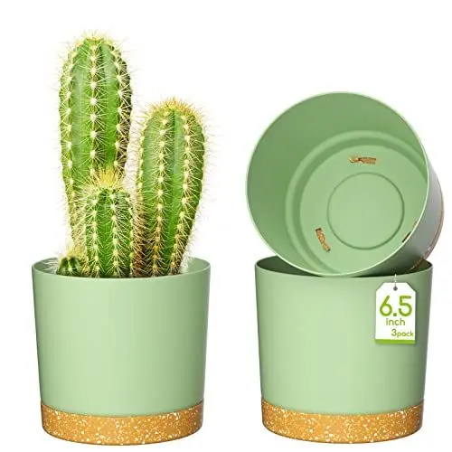 Produktbild: ZMTECH Blumentopf 16,5 cm Durchmesser übertöpfe für zimmerpflanzen, Kunststoff blumentöpfe mit Untersetzer und Abflusslöchern, Rund pflanztöpfe für Innen Außen Pflanzen(3er-Set, Grün)