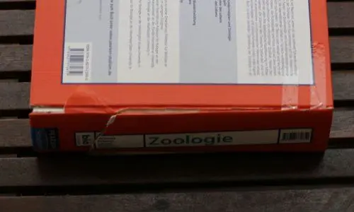 Produktbild: Zoologie (Pearson Studium - Biologie)