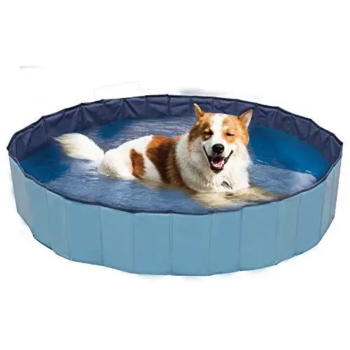 Produktbild: ZooMed Croci Swimming Pool Explorer, ideal für Hunde, 120 x 30 cm