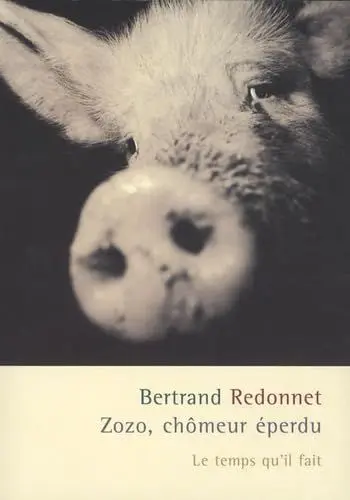 Produktbild: Zozo, chômeur éperdu roman