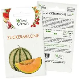 Produktbild: Zuckermelone Samen: Premium Melonen Samen für 15 Zuckermelonen Pflanzen – Melonensamen der süßen Sorte Charentais – Charentais Melone Samen, Saatgut Melone, Obst Samen – Zuckermelonen Samen OwnGrown