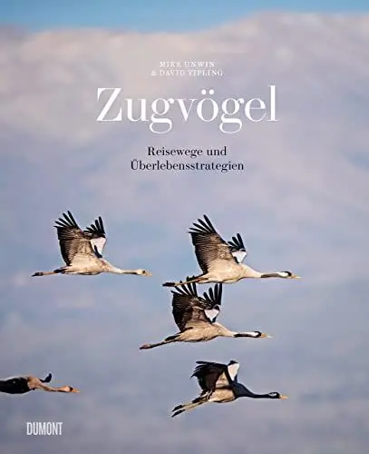 Produktbild: Zugvögel: Reisewege und Überlebensstrategien