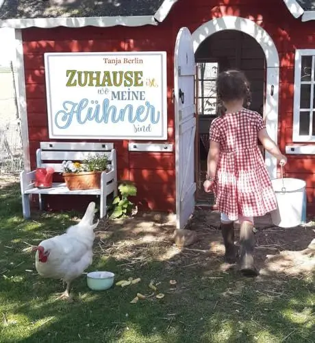 Produktbild: Zuhause ist, wo meine Hühner sind: Geschichten und kreative Ideen rund ums Huhn