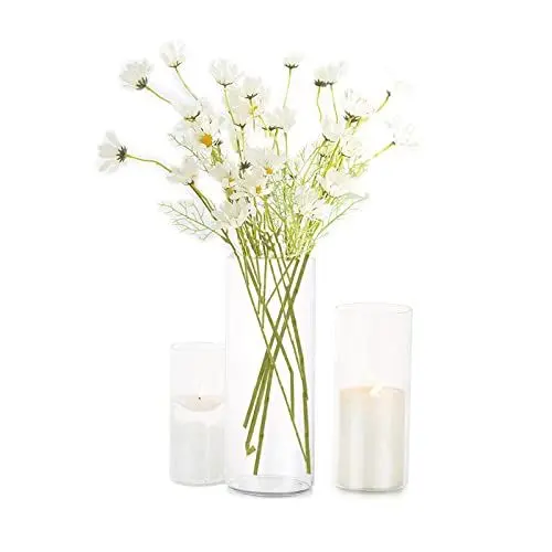 Produktbild: Zylindervase Bulk Klar Eylkoi - Kerzenhalter Glas Set Glaszylinder Mehrere GrößEn, 3 StüCk/Set Kleine Vasen füR Tischdeko, Vase füR Pampasgras Groß Tischdeko FüR Die Hochzeit, 15cm+20cm+25cm(Hoch)